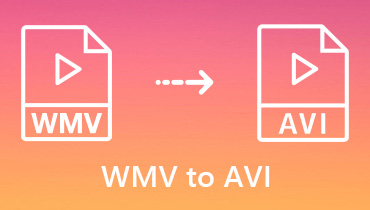 WMV zu AVI - Top 5 WMV zu AVI Konverter mit positiven Bewertungen
