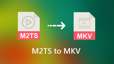 Konvertieren Sie M2TS in MKV