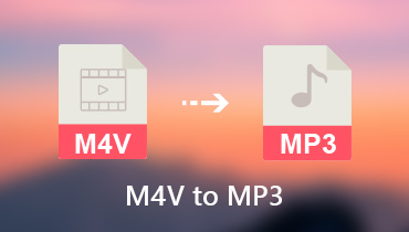 Konvertieren Sie M4V in MP3
