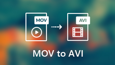 Konvertieren Sie MOV in AVI