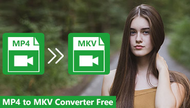 2024 Top 6 kostenlose Videokonverter zur Konvertierung von MP4 in MKV