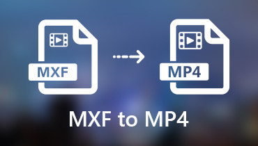 Konvertieren Sie MXF in MP4