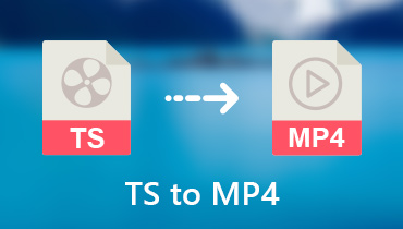 Konvertieren Sie TS in MP4