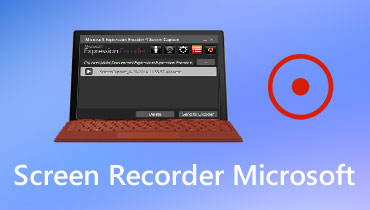 microsoft screen recorder crash